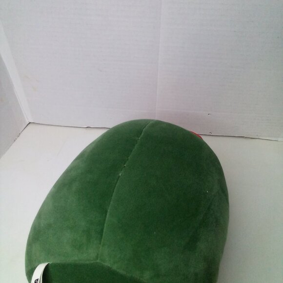 Greenville Drive Reedy Rip It Squishy Pillow 12" Minor League Baseball Mascot - Picture 10 of 14